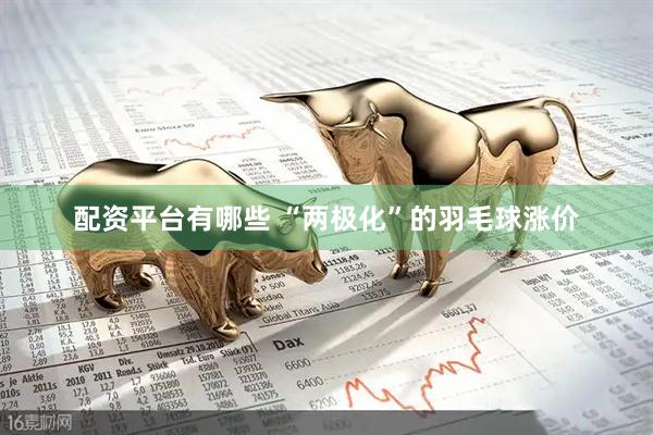 配资平台有哪些 “两极化”的羽毛球涨价